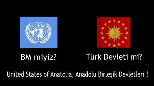 United States of Anatolia, Anadolu Birleşik Devletleri